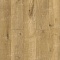 Norland Elegant 8 4V 33 (CH) LF301-09 Дуб Хайнан (миниатюра фото 1)