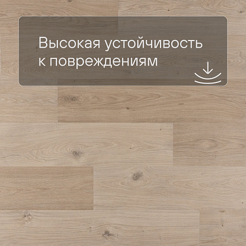 QS Second choice Alpha BLOS BASE  SPE40321 - AVSPT 40321 Дуб береговой бежевый (фото 5)