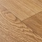 Premium Falco 2_1159 (миниатюра фото 9)