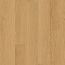 ПВХ-плитка Quick-Step QS LIVYN Pulse Click Plus PUCP 40098 Дуб чистый медовый (миниатюра фото 1)