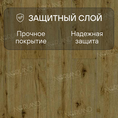 Norland Elegant 8 4V 33 (CH) LF301-14 Дуб Скай (фото 2)