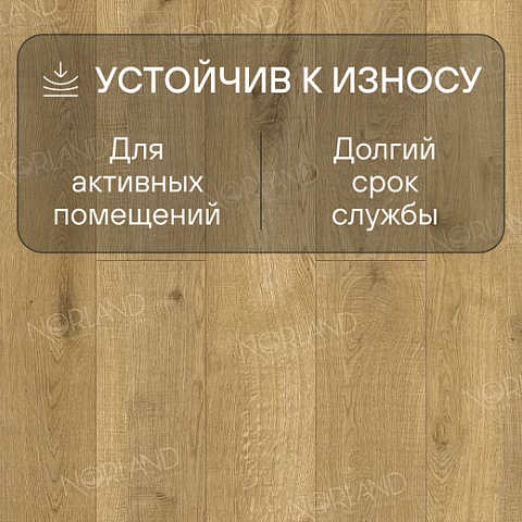 Norland Elegant 8 4V 33 (CH) LF301-09 Дуб Хайнан (фото 3)