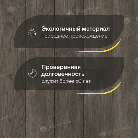Студио HDF 12 мм замок Дуб Грей лак с фаской (фото 2)