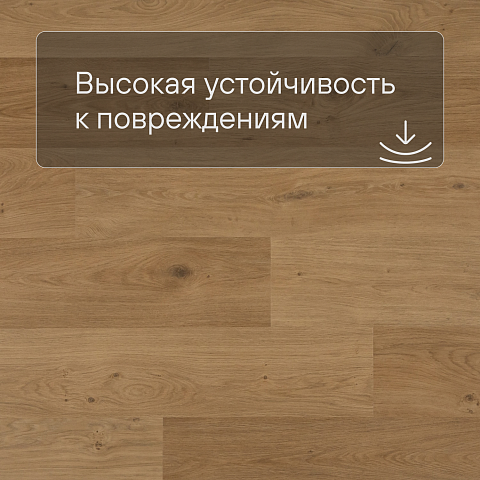 QS Second choice Alpha BLOS  SPE40320 - AVSPU 40320 Дуб береговой медовый (фото 5)